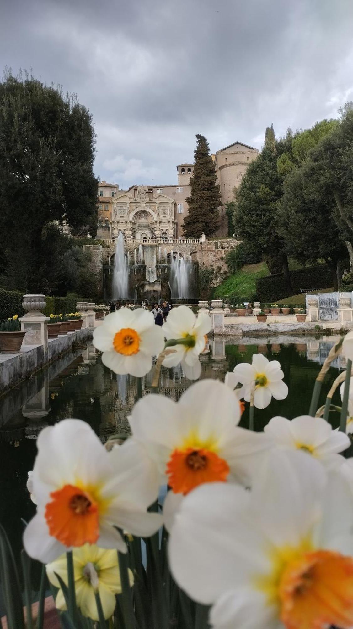 Alf E Ann B&B Tivoli Terme Luaran gambar